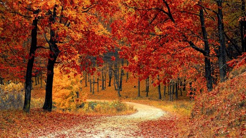 article featured image